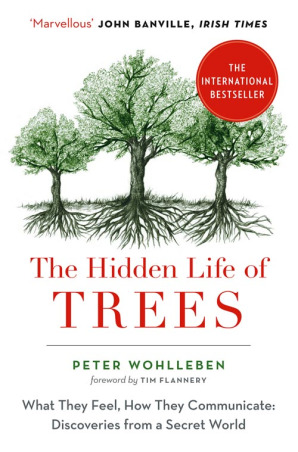 e8d74] ^D.o.w.n.l.o.a.d% The Hidden Life of Trees: What They Feel, How They Communicate – Discoveries from a Secret World - Peter Wohlleben ^ePub~